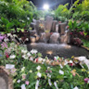 Meet your Posher, Dikson